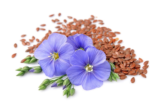 What is flax used for?